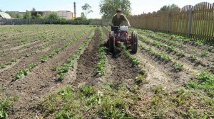 Ежики для мотоблока МТЗ