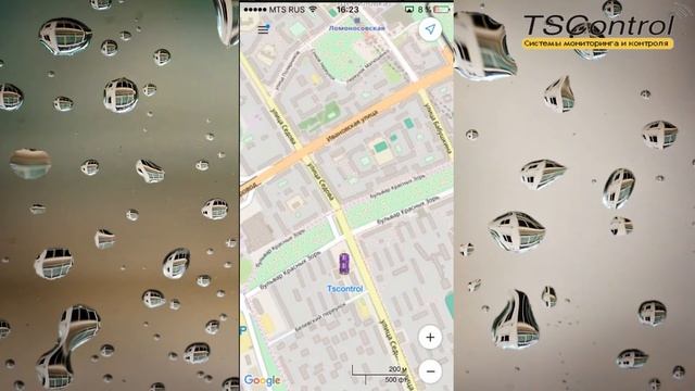Wialon в телефоне смотреть онлайн
