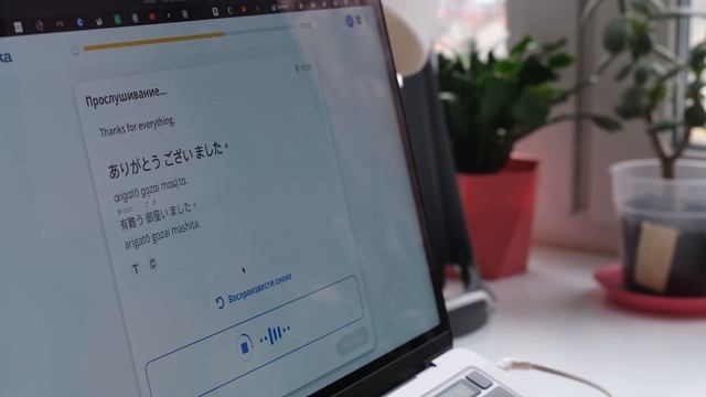 Распаковка iPhone 13 pink и еще больше японского / учись со мной #13 смотреть онлайн