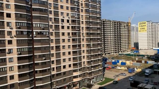 Разведение перепелов | А почему именно перепелов | МОИ перепела едут на Кубанскую ярмарку смотреть онлайн