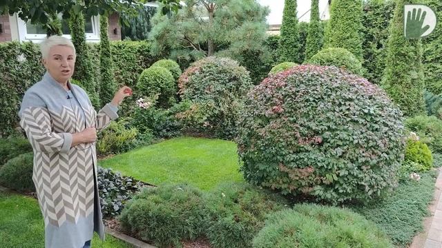 Видео журнал "СОФ №81" Очередной ШЕДЕВР из коллекции Цветущей планеты. смотреть онлайн