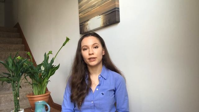 Как поехать в Америку по программе Work and Travel? Процесс подготовки (из опыта двух моих поездок) смотреть онлайн