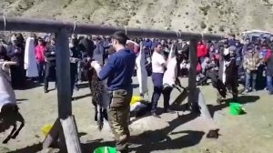 Чемпионат по разделывание барана. Разделка барана. Разделка мясо.