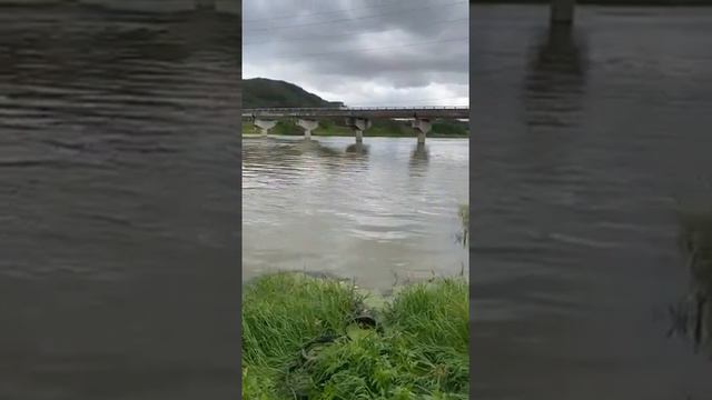 Вот корейский сазан смотреть онлайн