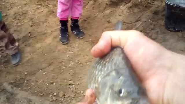 Рыбалка в Харабали | Астраханская область | Ахтуба | Волга Осень 2019 | Превзошла все ожидания смотреть онлайн