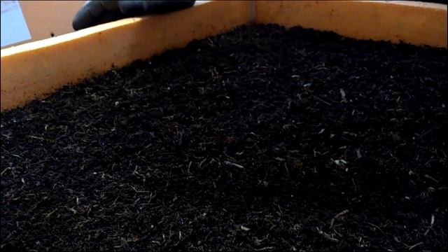 Выбор торфа. На что обратить внимание? смотреть онлайн