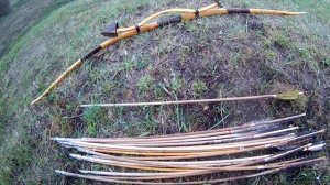 Самодельный охотничий лук из акации (Self bow)