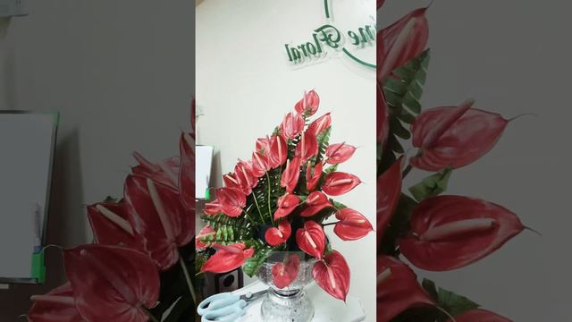 Floral Preparation using Anthurium by Jasmine Floral смотреть онлайн