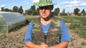 Боремся с Вьюнком Полевым. Интересный способ