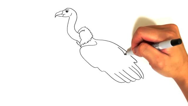 Art 066 - How to Draw a Vulture - Simple and Easy Drawing 2021 смотреть онлайн