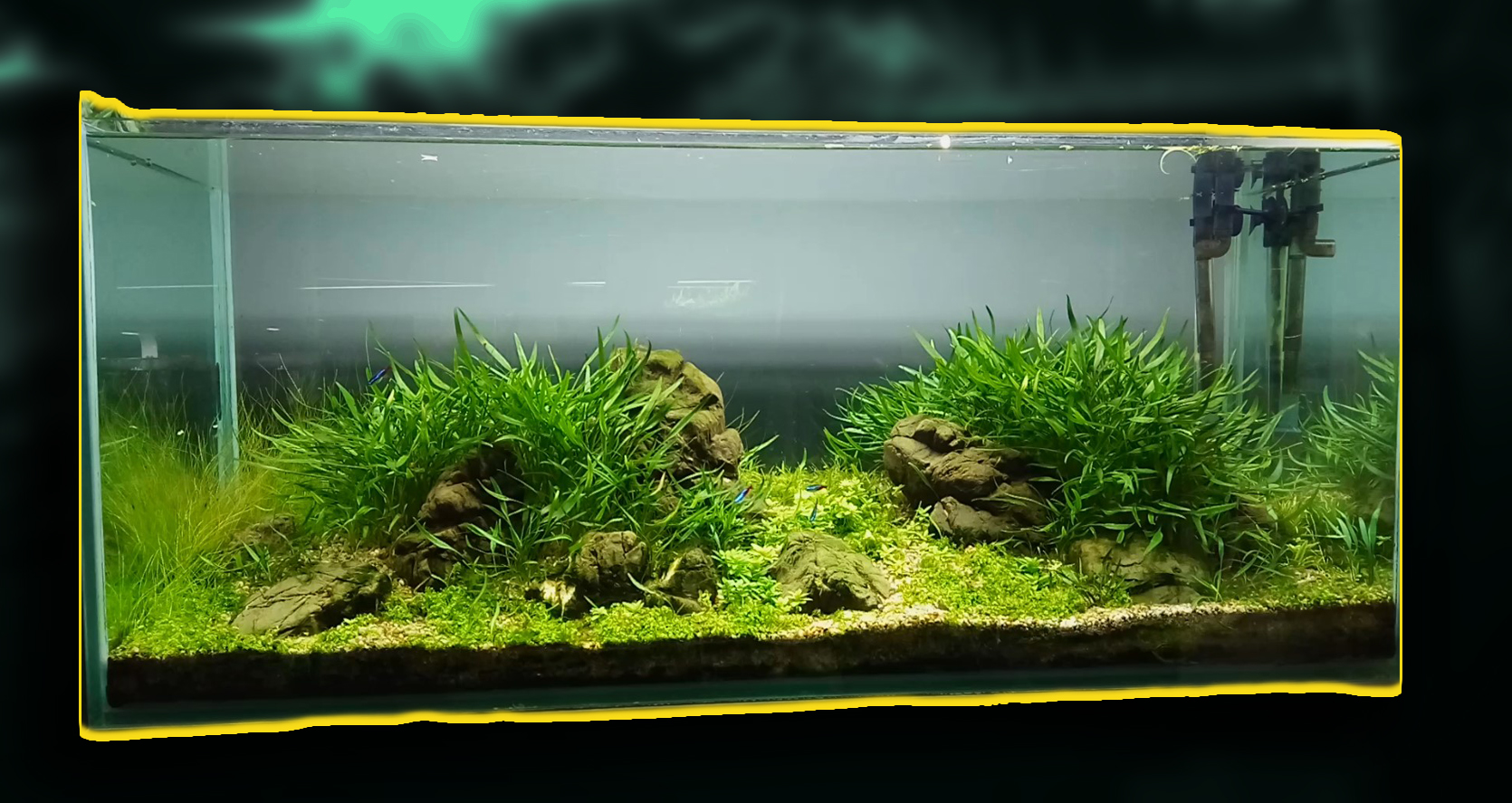 КАК ВЫГЛЯДИТ МОЙ 100 ЛИТРОВЫЙ АКВАРИУМ И НЕ ТОЛЬКО В СЕНТЯБРЕ 2018!. смотреть онлайн