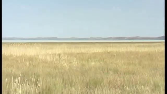 СТЕПИ ДАУРИИ смотреть онлайн