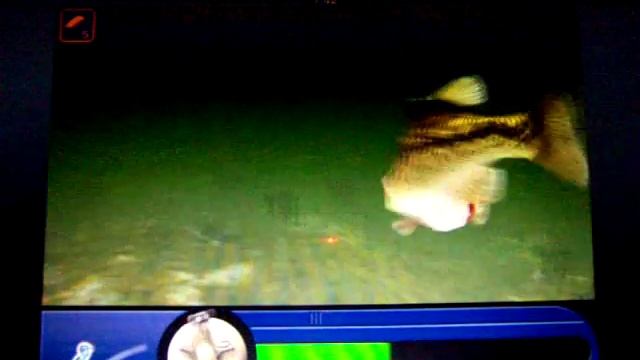 Championship Bass (PC) смотреть онлайн