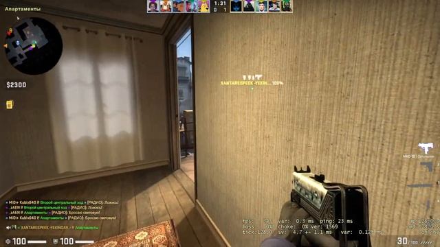 В мире животных 1 LVL Faceit в CS:GO смотреть онлайн