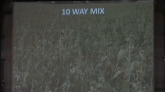 David Brand No Till - Дейвид Бранд - един от най-старите Ноу Тилъри смотреть онлайн