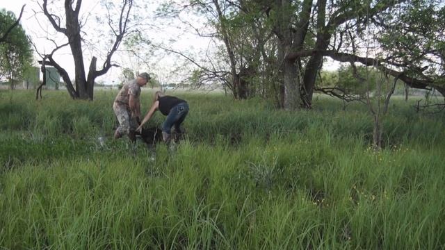 Michelle Guess Calling Hogs, Hog Hunting "Swamp Boar" смотреть онлайн