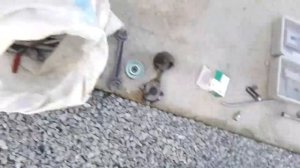 Замена ролика гитары Пежо 3008