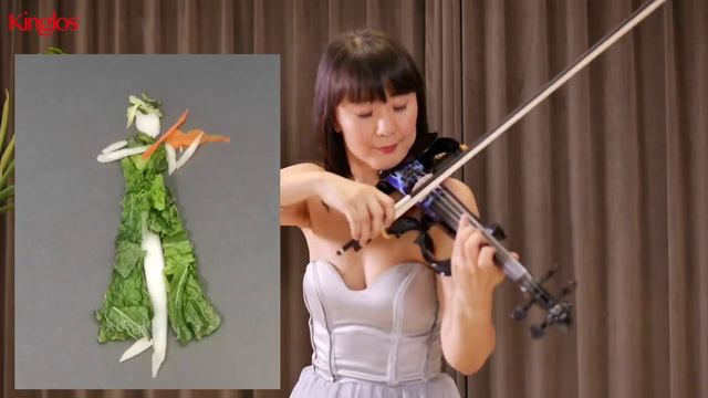 Electric Violin Supply I Demo on Kinglos DSZB Series (for Business) смотреть онлайн
