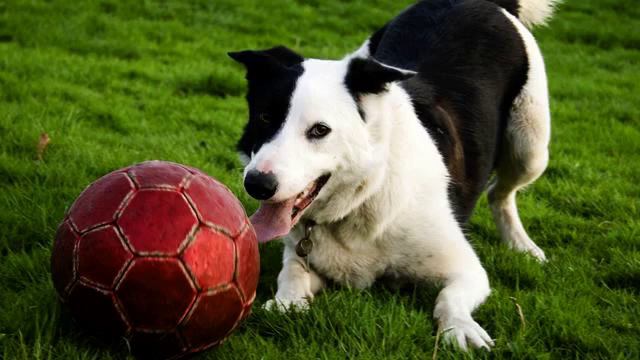 Слушать новую русскую новинку и фото онлайн смотреть онлайн