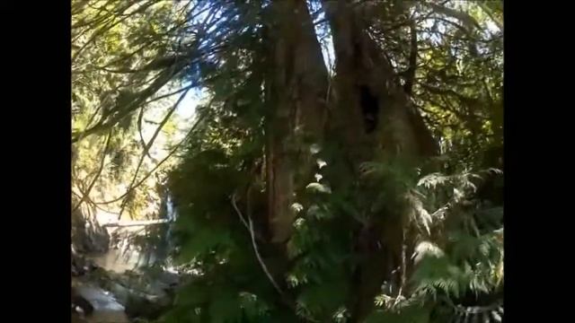 Sea Kayaking 2014 - Part 2 Nootka Island circumnavigation смотреть онлайн