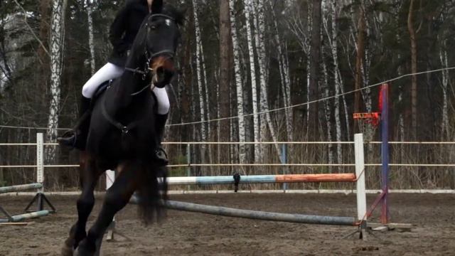 #CASE_IN: Мы все разные, и мы все будущие инженеры! смотреть онлайн
