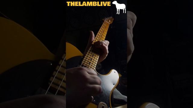One Guitar To Rule Them All - #telecaster #guitar #rock #music #tonewood смотреть онлайн