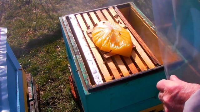 Даем медовые лепешки!....2022г.....))) любительское пчеловодство смотреть онлайн