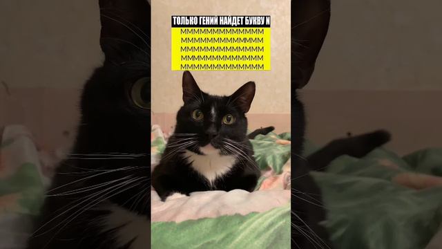ТОЛЬКО 1% СМОЖЕТ НАЙТИ ЗДЕСЬ БУКВУ "N"!😨 смотреть онлайн