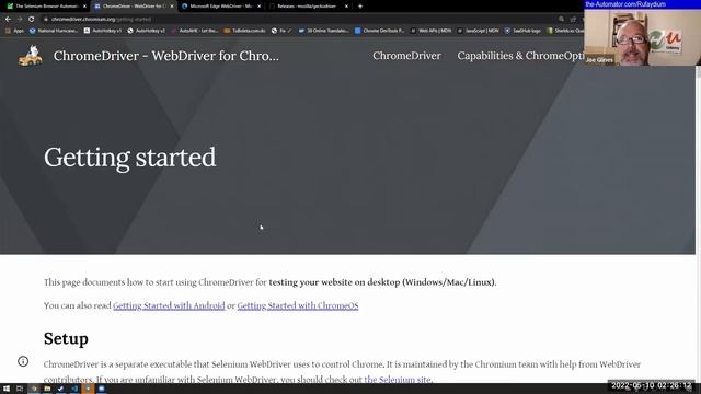 ? WebDriver: The Secret to Effortless Web Automation смотреть онлайн