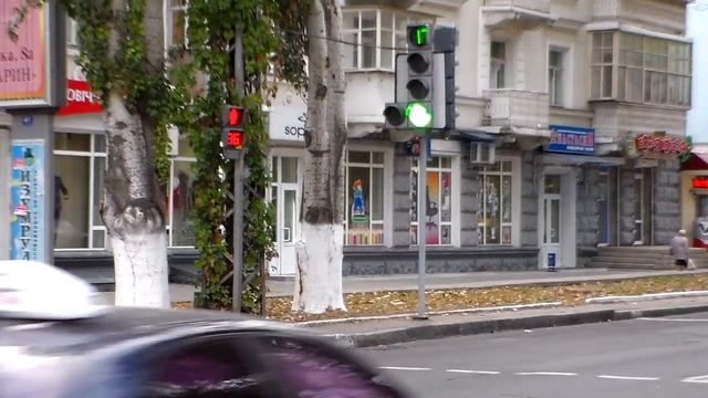 Собаки на зеленый, люди на красный. Кто разумный? Переход дороги на светофорах. смотреть онлайн