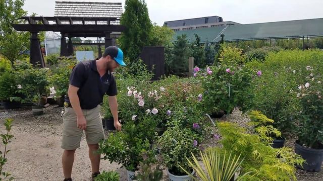 Lurvey Walk & Talk - Drought Tolerant Plants