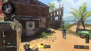 call of duty black ops 4, сетевой режим