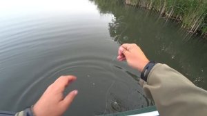 РЫБАЛКА на КАРПА ловля на БУТЫЛКИ Эти САЗАНЫ рвут ЛЕСКУ РЫБАЛКА с ЛОДКИ