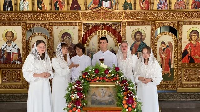 ВСТРЕЧА АРХИЕРЕЯ «На Гору Сион…» #вера #рек #православие #молитва #клирос #хор смотреть онлайн