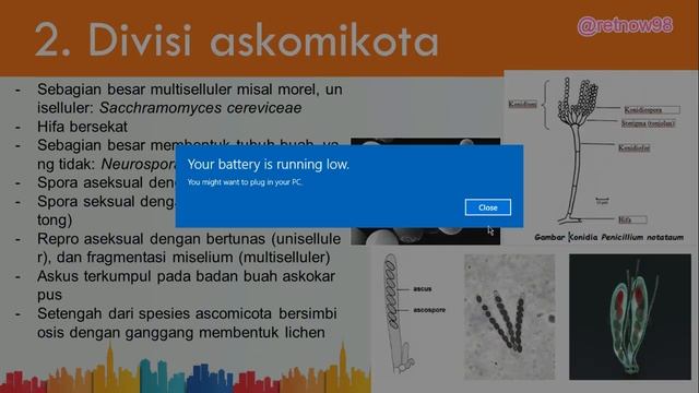 KINGDOM FUNGI смотреть онлайн