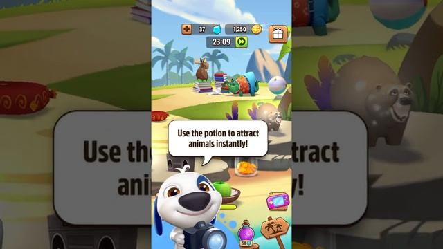 Taking care of Hank little dog gameplay walkthrough pet care смотреть онлайн