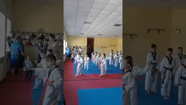 Тхэквондо смотреть онлайн