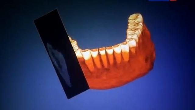 Наука 2 0 Палеоантропология смотреть онлайн