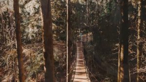 «POPулярное детское чтение» обзор детских книг популярных в Литрес