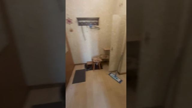 2х комнатная квартира в 2х минутах от метро Чертановская по реновацию в 2028 смотреть онлайн