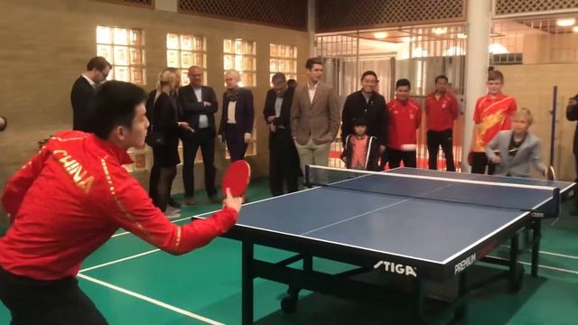 Sigge Hedblad vs Fan Zhendong смотреть онлайн