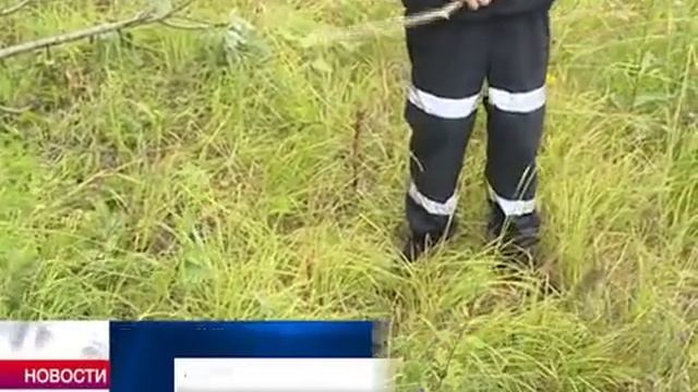 В некоторых больницах Вологодчины нет сыворотки против укусов змей смотреть онлайн