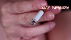 День Наваждения