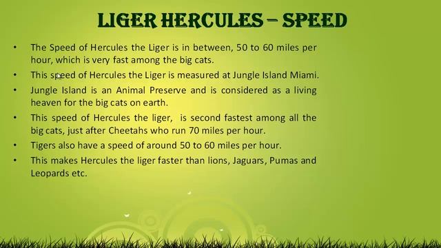 Liger Hercules Speed - 50 to 60 Miles per Hour смотреть онлайн