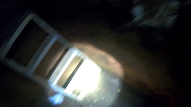 TWO PYTHON RESCUES IN ONE DAY! смотреть онлайн