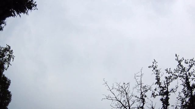 ГЕРМАНИЯ | ДАЧА ИЛИ КУСОК ПРИРОДЫ ВНЕ ГОРОДА | КЛИМАТ ПОЗВОЛЯЕТ РАСТИ И ПЛОДОНОСИТЬ МНОГИМ смотреть онлайн