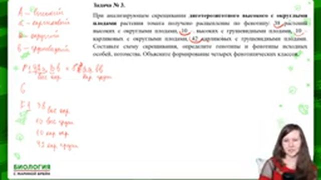РЕШЕНИЕ ЗАДАЧ ПО ГЕНЕТИКЕ С НУЛЯ смотреть онлайн