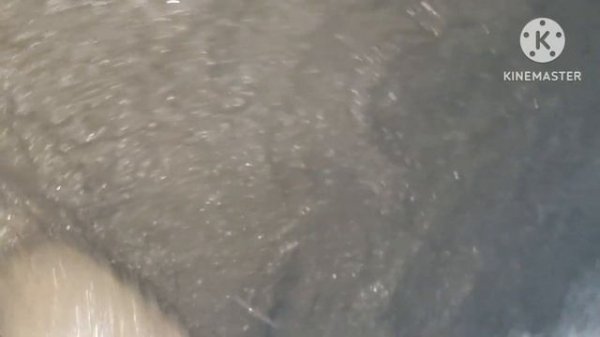 Teddy playing in squishy slippery snowy mud with her rainbow slippers | Bun's slippers