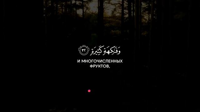 Сура Аль-Вакиа смотреть онлайн