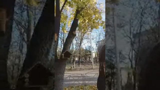 Забрал меня сын Аллы Квиташ(военный) смотреть онлайн